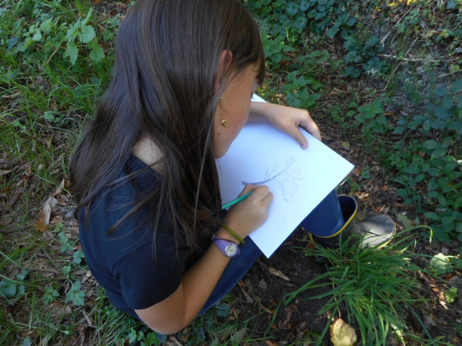 bieaudiversité (17)