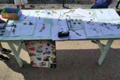 IMG_20240628_105647