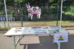 IMG_20240628_105715