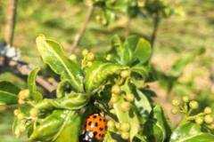 Photo-prise-par-Valérie-Bourgoin