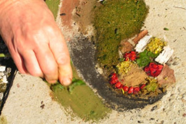 Maîtriser l’approche «art et nature » en EE