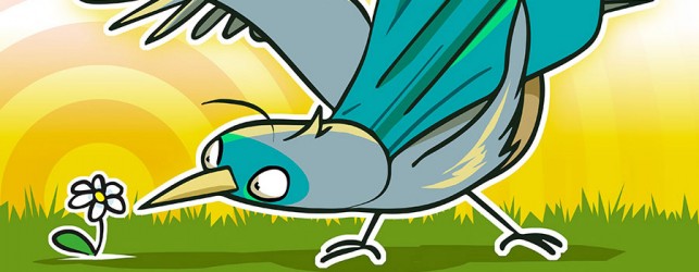 Nos jardins à la loupe / Oiseaux