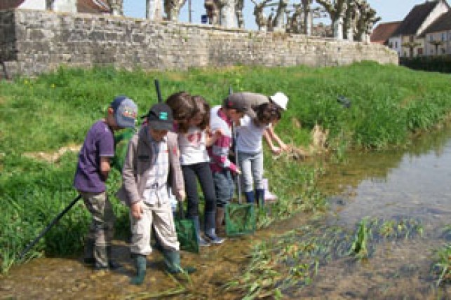 « Ricochets », travailler sur l’eau en pédagogie de projet