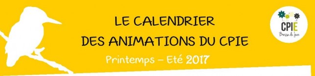 Les animations fleurissent ce printemps