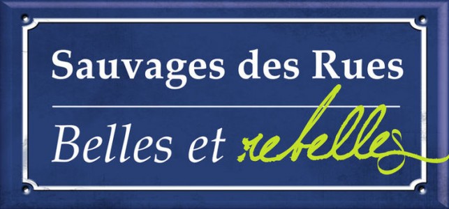 Une expo de rue sur les plantes sauvages!