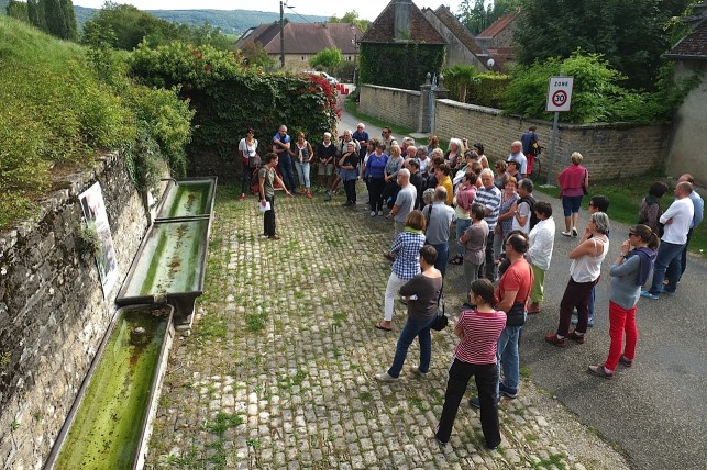 Les balades nature urbaines reviennent !