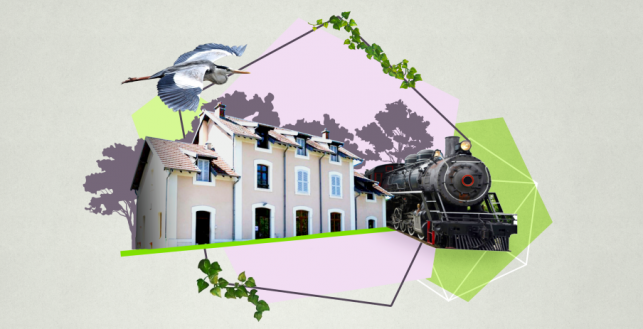 Eco-interprète : 30 ans déjà !