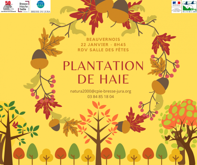 Plantons des arbres !