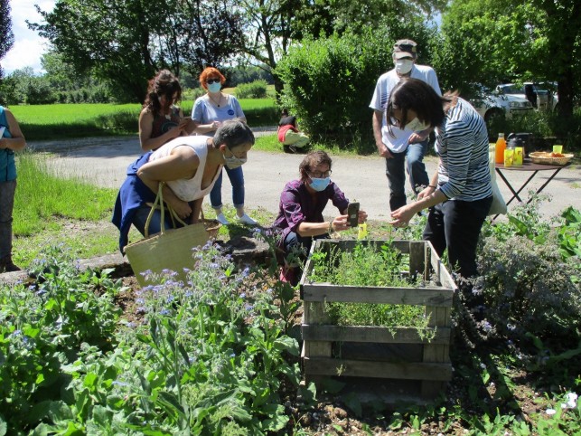 Cuisine sauvage au Moulin de Brainans