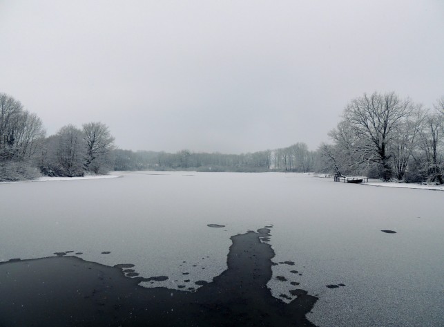 Le comptage Wetland 2024