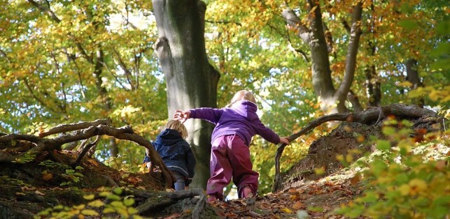 L’ÉCOLE DU DEHORS