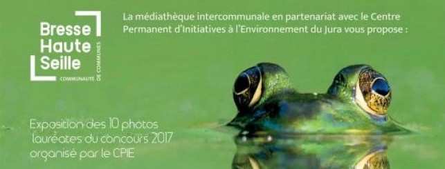 Concours photo « Regards sur la Seille »