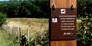 sentier_jacquot