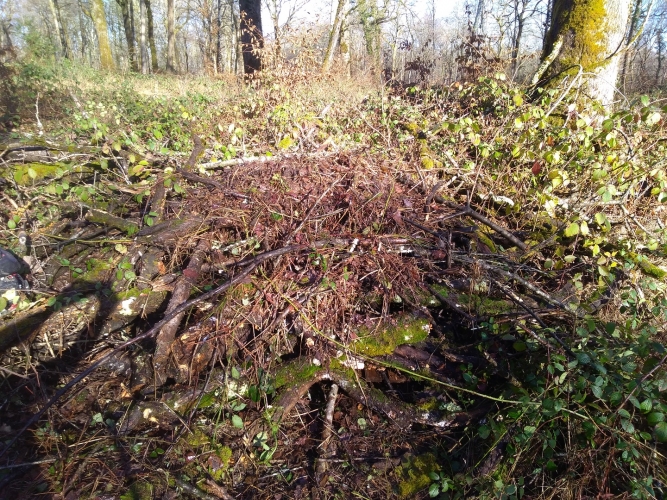 Villevieux hibernaculum