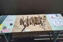 IMG_20240628_105632