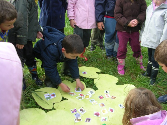 Les animations ludiques et conceptuelles