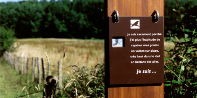 Sentier étang Jacquot