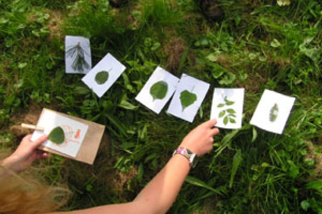 Les animations de découverte de la nature