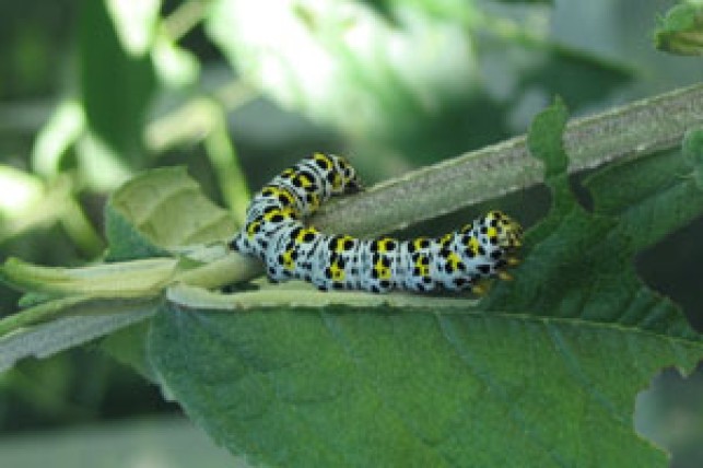 La notion d’écosystème