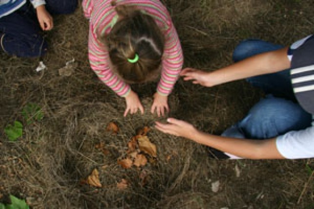 La forêt des petits