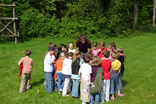La forêt des quatre saisons