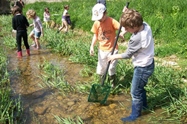 L’écosystème « rivière »