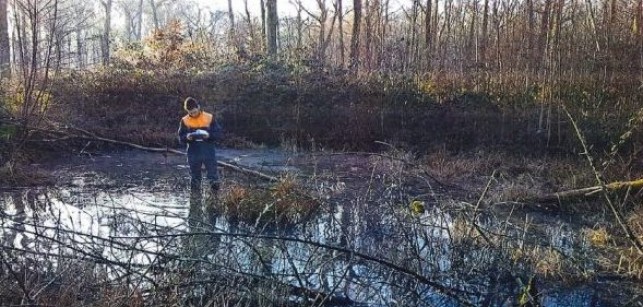 Des élèves viennent à l’aide du Sonneur à ventre jaune !