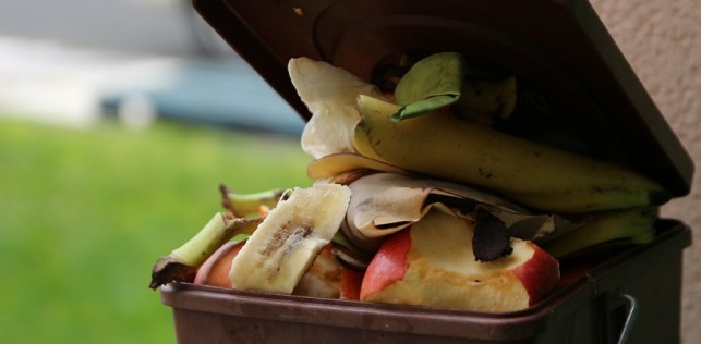 Ensemble contre le gaspillage alimentaire, en restauration collective !