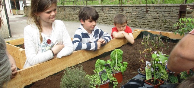 Faire pousser pour mieux grandir