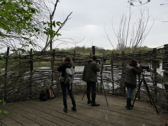 Des inventaires naturalistes sur l’étang Jacquot